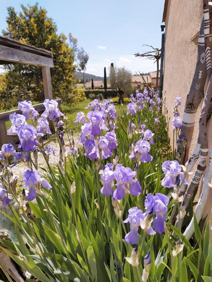 La Boheme Villa Seillans Dış mekan fotoğraf